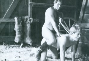 Gay Vintage Video RAWHIDE