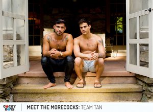 Meet the Morecocks 3: Team Tan