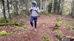 LOST IN THE FOREST